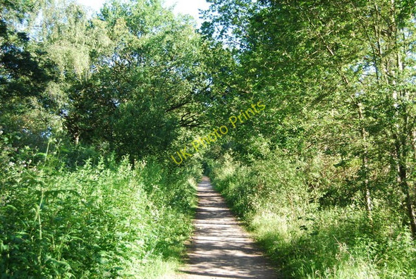 Photo 6"x4" Downs link heading north, Run Common Grafham\/TQ0241 c2010