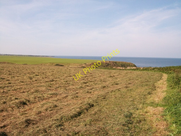 Photo 6"x4" Hayfield on the cliff-top above Penrhyn Cwmistir Rhos-y-llan c2010