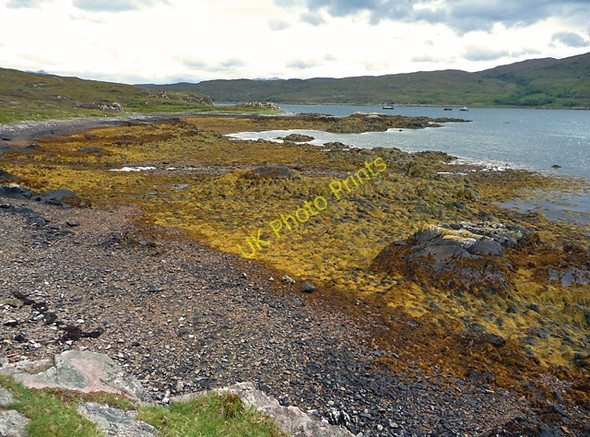 Photo 6"x4" Shoreline of Loch an Eilean Heaste c2010