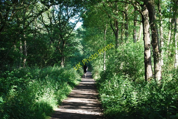 Photo 6"x4" Jogger on the Downs Link Lordshill Common c2010