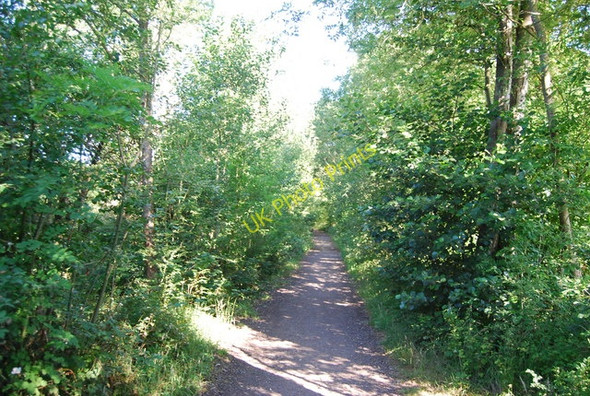 Photo 6"x4" Downs Link Lordshill Common c2010