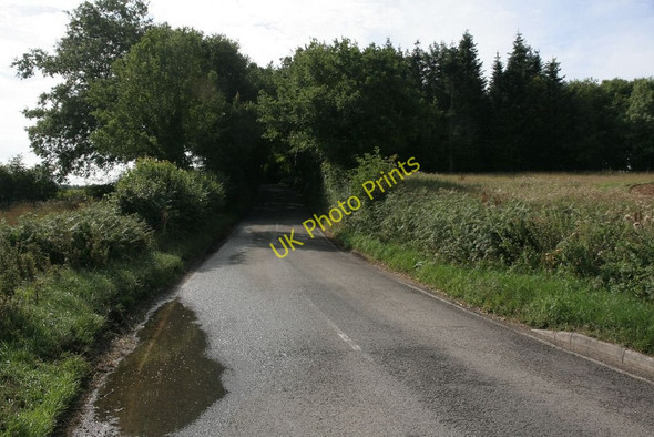 Photo 6"x4" Haw lane by the wood Ashampstead Green c2010