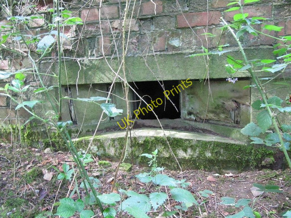 Photo 6"x4" Wood on the loophole Ashampstead Green c2010