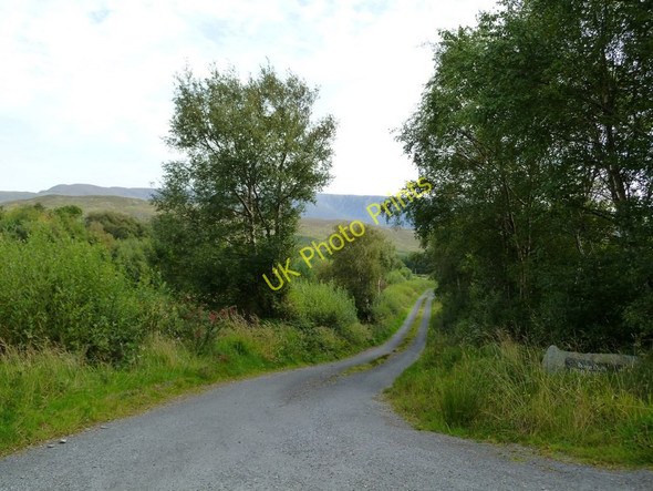 Photo 6"x4" Lane south of Drummin Drummin\/L9371 c2010