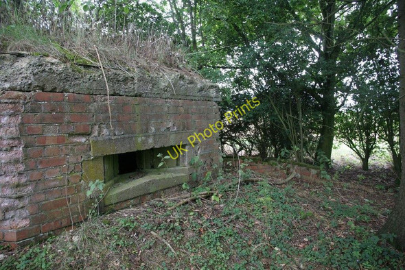 Photo 6"x4" Edge of the woods Four Points c2010