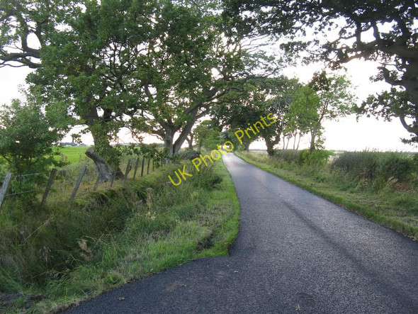 Photo 6"x4" The road to Buteland Farm Glenbrock c2010