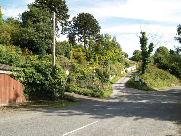 Photo 6"x4" Road to Kirkmabreck Old Churchyard Creetown c2010