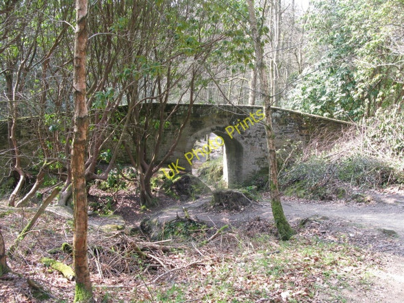 Photo 6"x4" A footbridge across a bridleway Chelwood Gate c2010