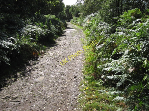 Photo 6"x4" Old Yew Gate track in Wharncliffe Wood Oughtibridge c2010