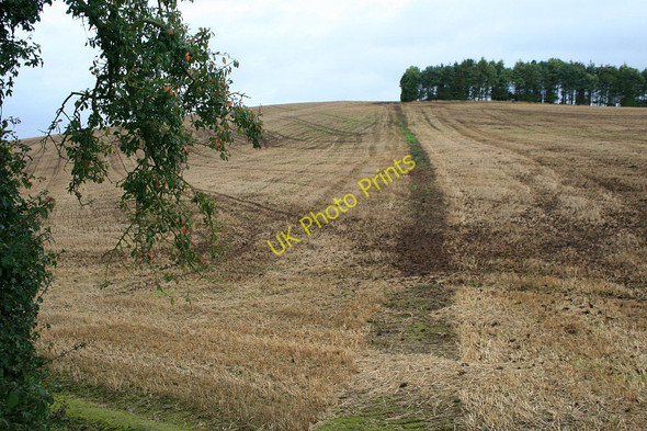 Photo 6"x4" Path junction after harvest Easthope c2010