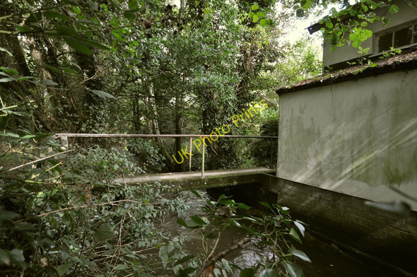 Photo 6"x4" A bridge on the River Caen in Blackwell wood Knowle\/SS4938 c2010