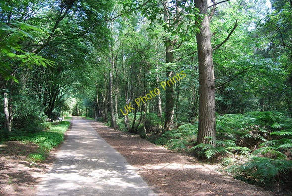 Photo 6"x4" Metalled bridleway, Hindhead Common Hindhead c2010