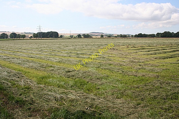 Photo 6"x4" Hayfield at Tealing Kirkton of Tealing c2010