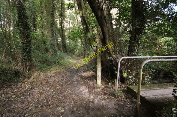 Photo 6"x4" A path which runs alongside the River Caen Knowle\/SS4938 c2010