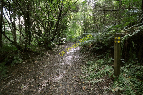 Photo 6"x4" Looking West towards a steep climb before the path crosses a field and joins Castle Lane Knowle\/SS4938 c2010