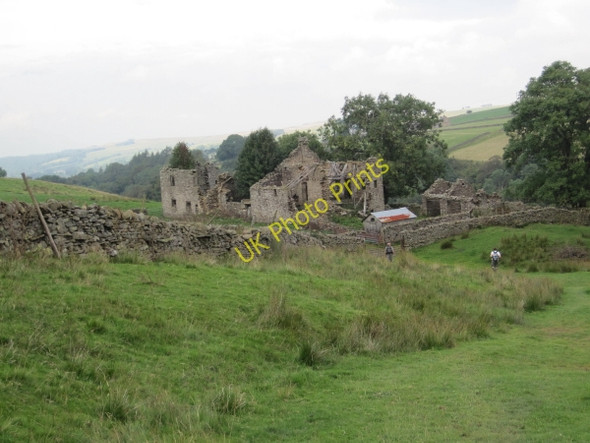 Photo 6"x4" Appletree Shield Limestone Brae c2010