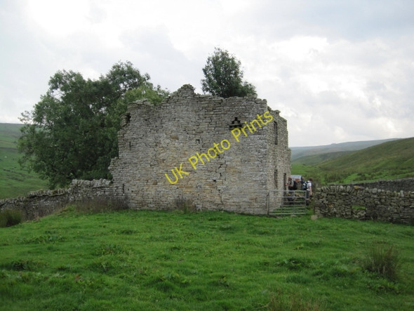 Photo 6"x4" Appletree Shield Limestone Brae c2010