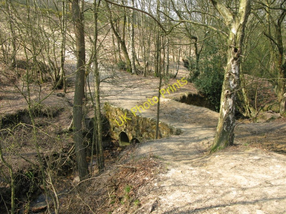 Photo 6"x4" Bridge over a tiny stream, Ashdown Forest Chuck Hatch c2010