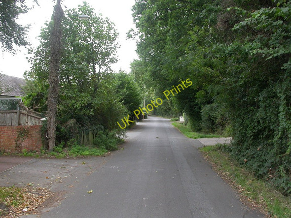 Photo 6"x4" Bashley, Cull Lane Bashley c2010