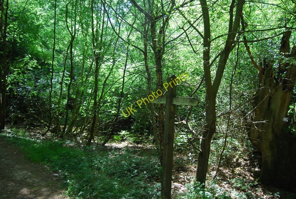 Photo 6"x4" Bridleway signpost, Hindhead Common Hindhead c2010