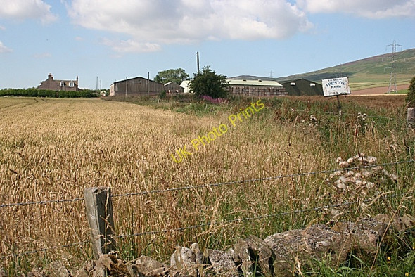 Photo 6"x4" Prieston Farm Kirkton of Tealing c2010 P1