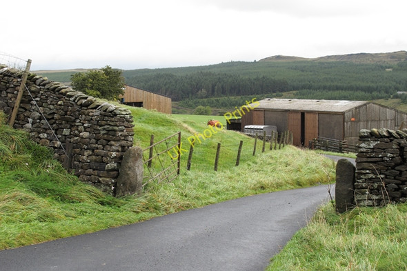 Photo 6"x4" Farm road at Halsteads Tosside c2010