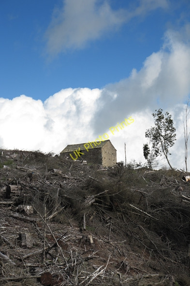 Photo 6"x4" Fair Hill Barn and harvested forestry plantation Tosside c2010
