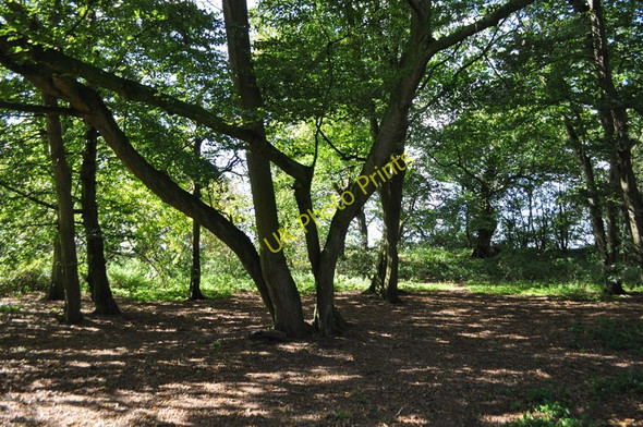 Photo 6"x4" South Elmham Saxon Chapel Woodlands St Margaret South Elmham c2010