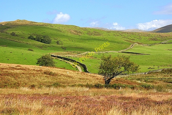 Photo 6"x4" Public Bridleway to Grassgarth Kentmere c2010