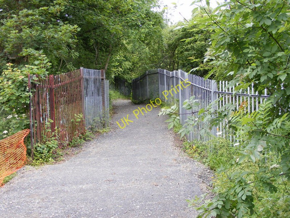 Photo 6"x4" Seven Sisters Path Dudley\/SO9390 c2010