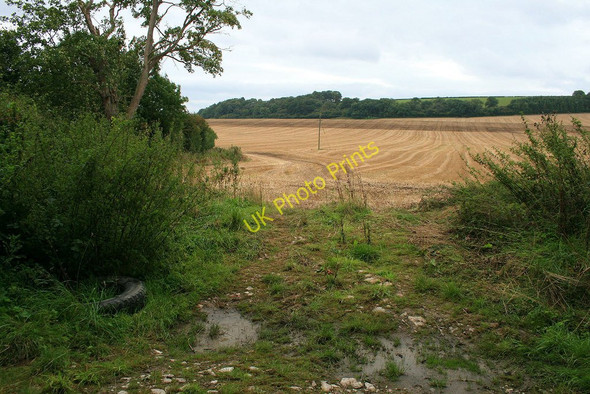 Photo 6"x4" Entrance to a field Hughley c2010