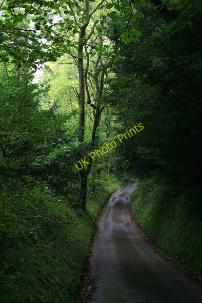 Photo 6"x4" Road through Easthope Wood Easthope c2010
