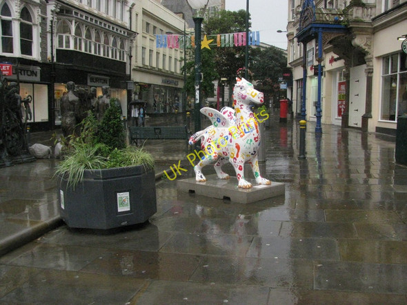 Photo 6"x4" Dragon in the Rain Newport\/Casnewydd c2010