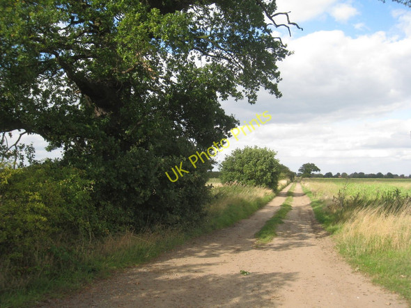 Photo 6"x4" Track towards Norton Disney Norton Disney c2010