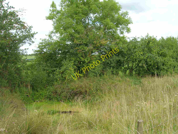 Photo 6"x4" Small pond by footpath to Harrods Farm Oxhill\/SP3145 c2010