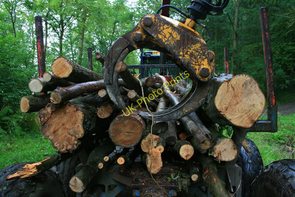 Photo 6"x4" Logs and Grab Easthopewood c2010