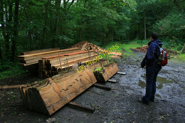 Photo 6"x4" A sawmill clearing Hughley c2010