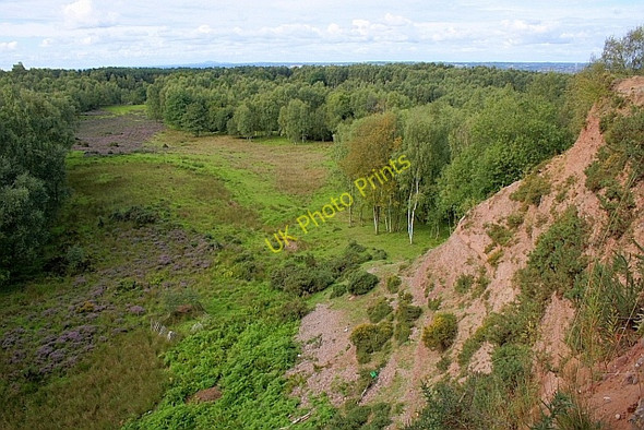 Photo 6"x4" Disused Quarry, Coppice Hill Brocton\/SJ9619 c2010