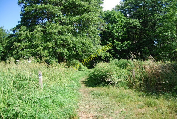 Photo 6"x4" North Downs Way just west of the bridge across the River Wey Guildford c2010