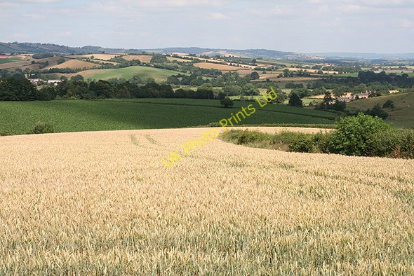Photo 6"x4" Crediton Hamlets: above Hookway Crediton c2006