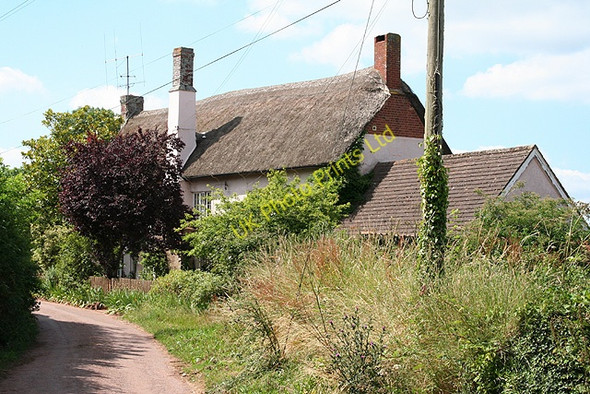 Photo 6"x4" Crediton Hamlets: Ladywell, Uton Crediton c2006