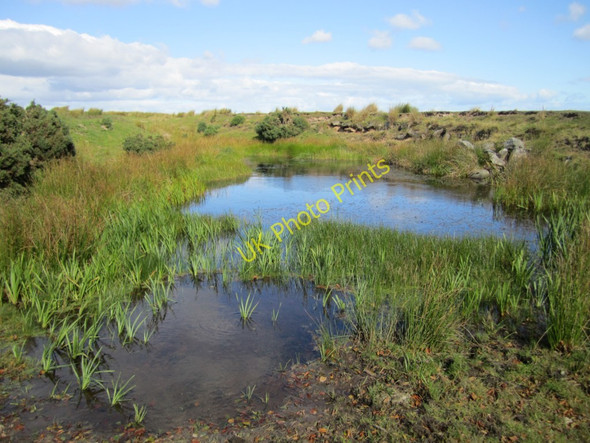 Photo 6"x4" Pond near Beanley Plantation Beanley c2010