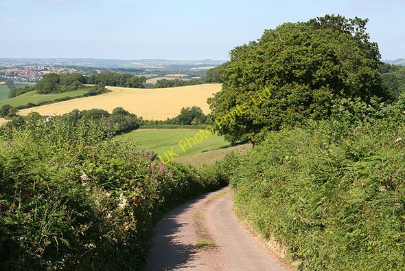 Photo 6"x4" Crediton Hamlets: on Castle Down Venny Tedburn c2006