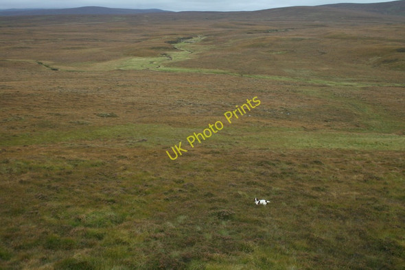 Photo 6"x4" Is there anyone there? Cras c2010