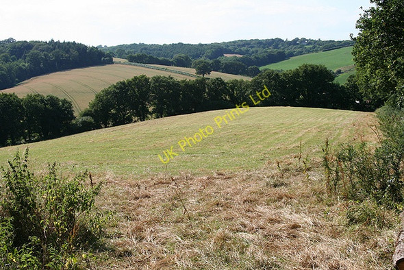 Photo 6"x4" Cheriton Bishop: at Tillerton Town Barton c2006
