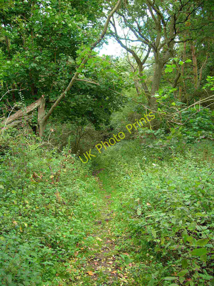 Photo 6"x4" Bridleway through Heath End Plantation Heath End\/SP2360 c2010