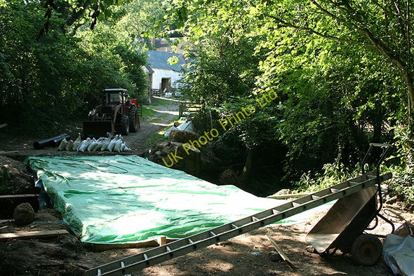 Photo 6"x4" Crediton Hamlets: Winstode Woodland Head c2006