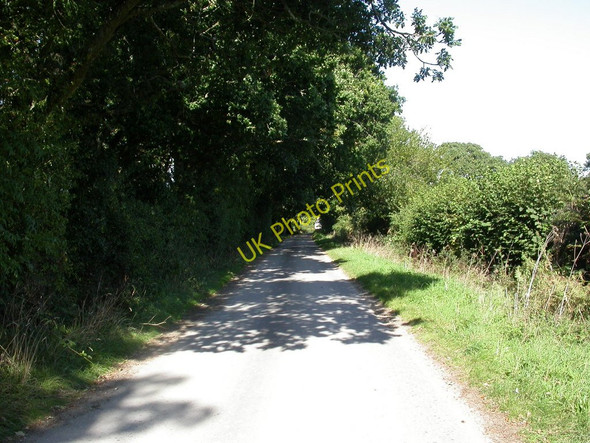 Photo 6"x4" Bashley, New Lane Bashley c2010