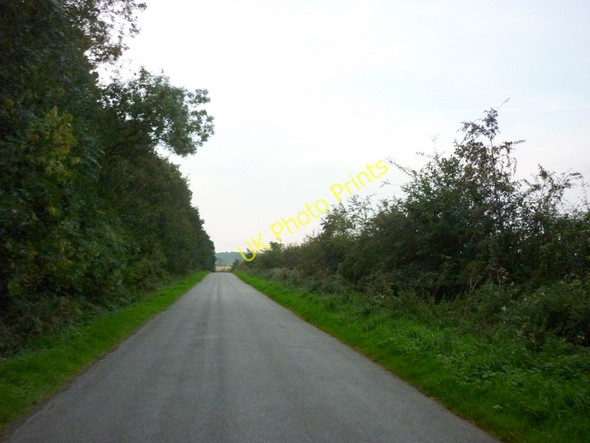 Photo 6"x4" Heading South towards Swallow Great Limber c2010