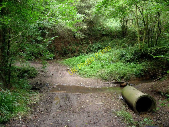 Photo 6"x4" Stream in Eymore Wood Holbeache c2010